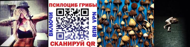 наркота  Сертолово  Галлюциногенные грибы GOLDEN TEACHER 