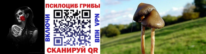 Псилоцибиновые грибы мицелий Сертолово