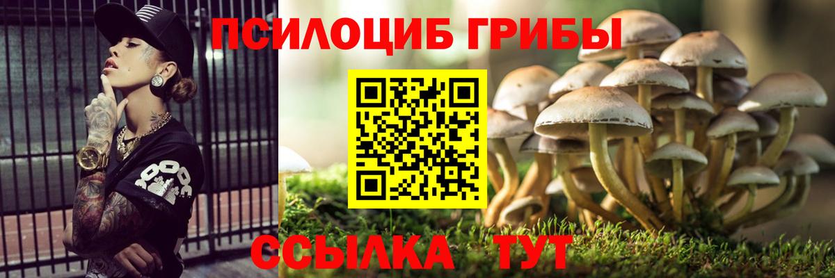 Сертолово  Псилоцибиновые грибы GOLDEN TEACHER  Вход с VPN 