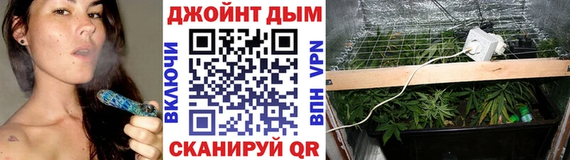 где продают   Сертолово  Марихуана White Widow 